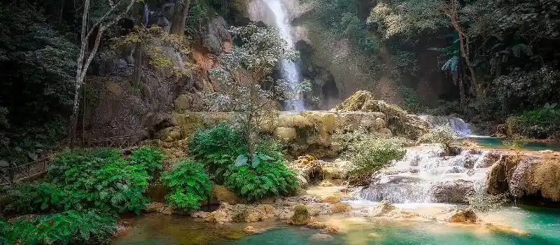 Nature pr&eacute;serv&eacute;e du Laos