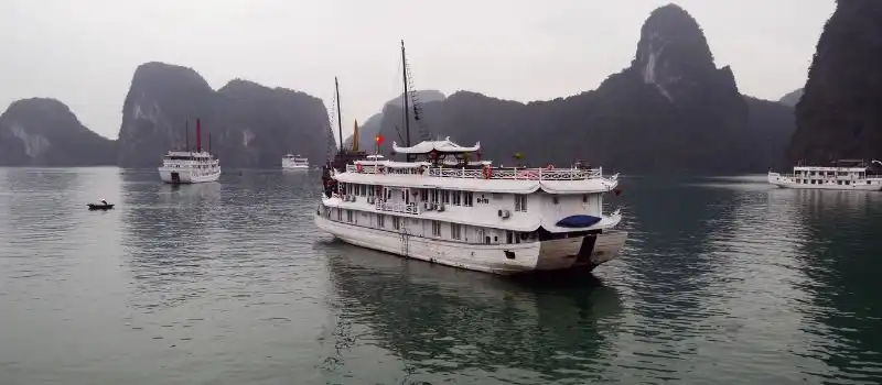 Options de croisi&egrave;re en baie Halong adapt&eacute;es aux familles