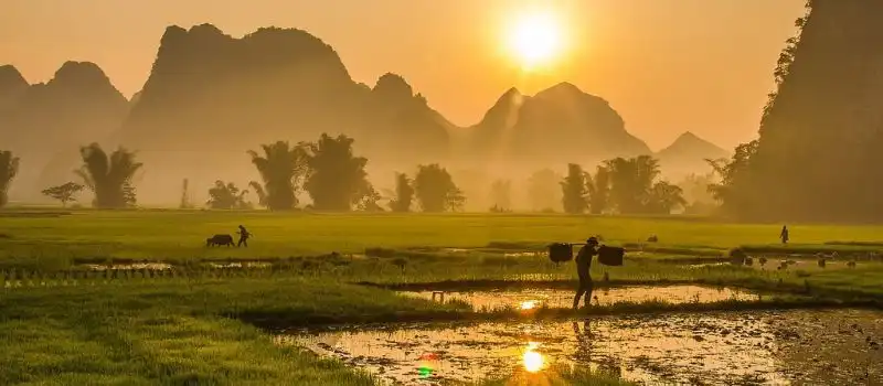 Organiser un voyage au Vietnam sur mesure avec une agence locale