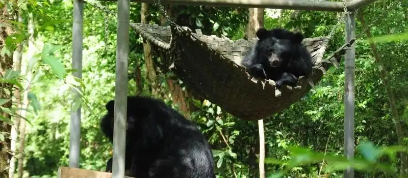 Parc national de Cat Tien