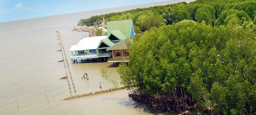 parc-national-de-mui-ca-mau