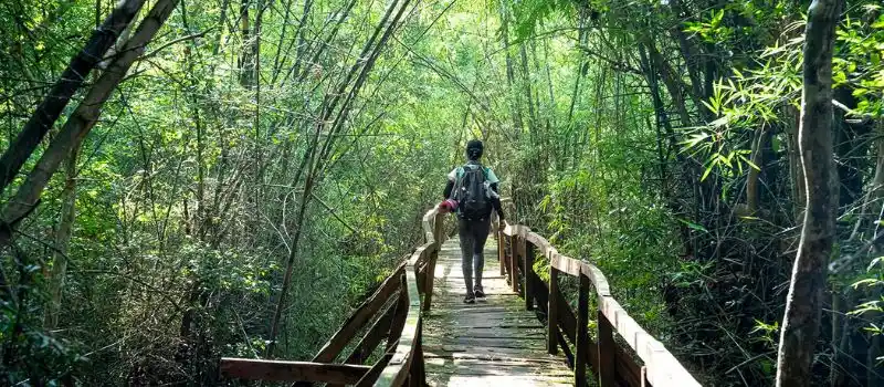 Parc national de Nam Cat Tien