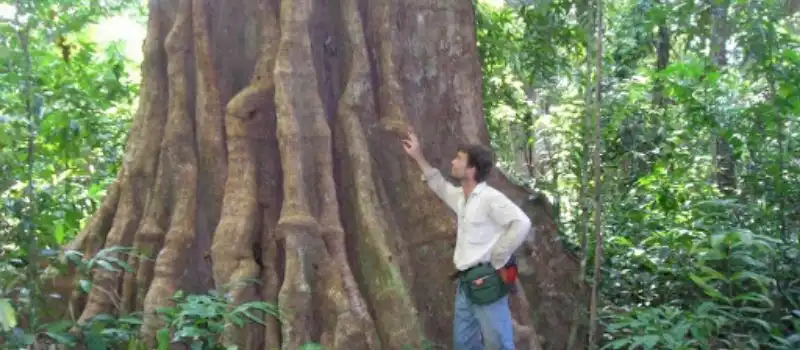 Parc national de Virachey