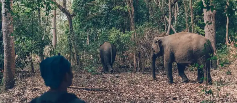 Parc national de Yok Don