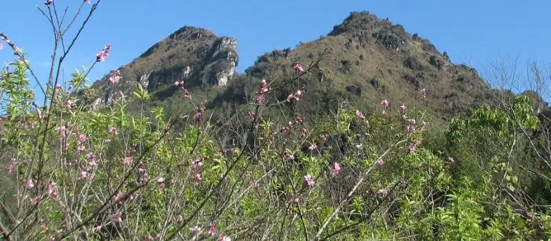 Partir au Vietnam Nord au printemps