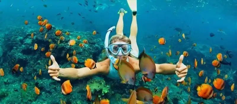 Plong&eacute;e sous-marine en baie d&rsquo;Halong