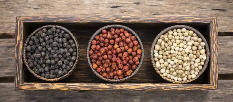 Poivre de Kampot Cambodge