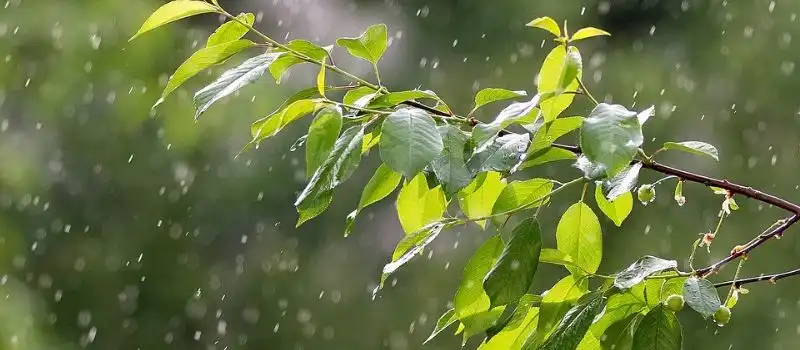 Quand partir au Cambodge selon la m&eacute;t&eacute;o