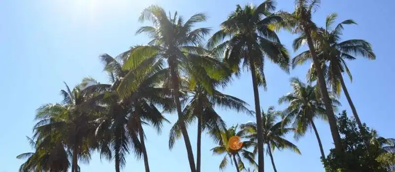 Quand partir en voyage au Cambodge Vietnam