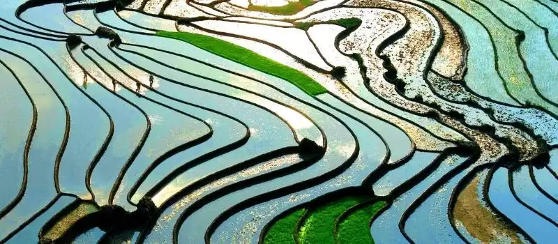 Quand partir en voyage au Vietnam