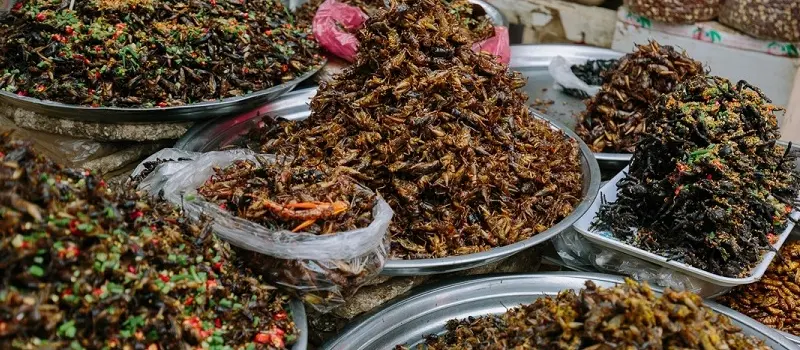 que-manger-a-siem-reap-8-specialites-cambodgiennes-a-ne-pas-manquer61