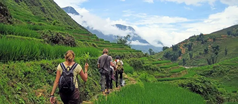 Randonner vers les villages de Lao Chai et Ta Van