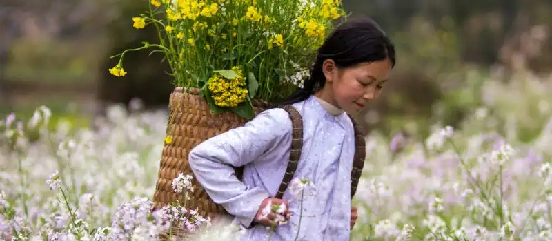 Rencontre des Hmong en compagnie d&rsquo;un guide francophone local