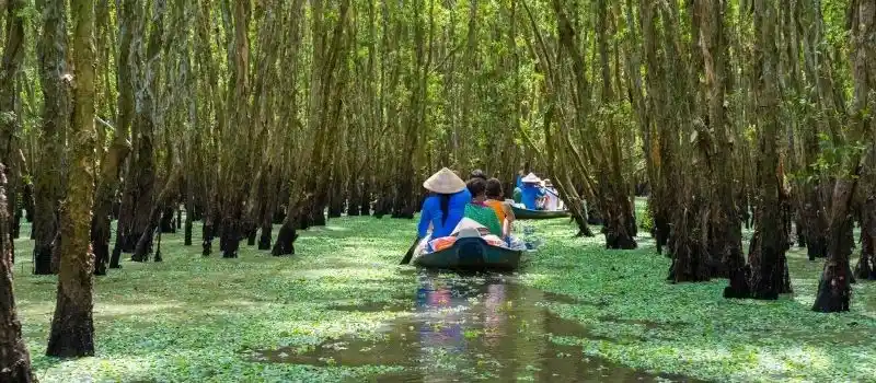 R&eacute;serve de biosph&egrave;re de la mangrove de Can Gio