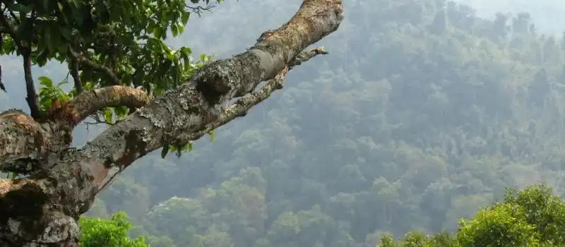 R&eacute;serve naturelle dans la province de Bokeo