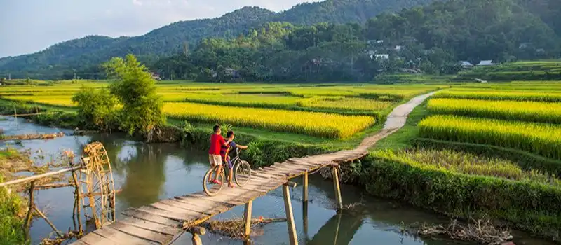 R&eacute;serve naturelle de Pu Luong fin octobre