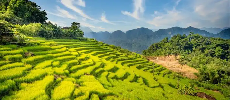 R&eacute;serve naturelle de Pu Luong