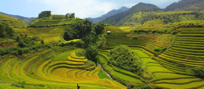 R&eacute;serve naturelle de Pu Luong