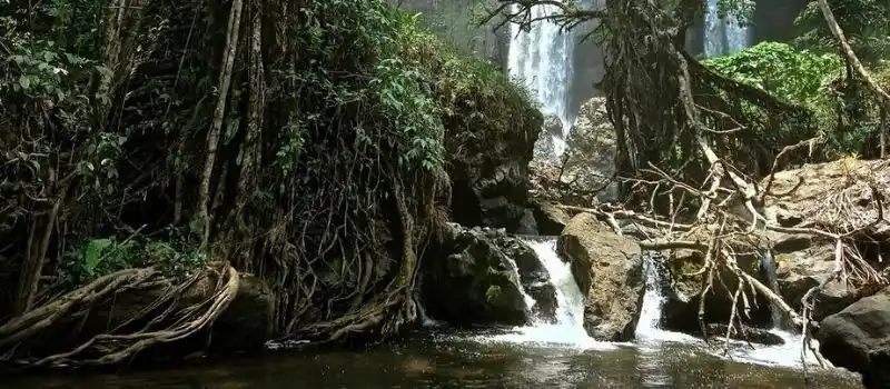 R&eacute;serve naturelle Dong Hua Sao