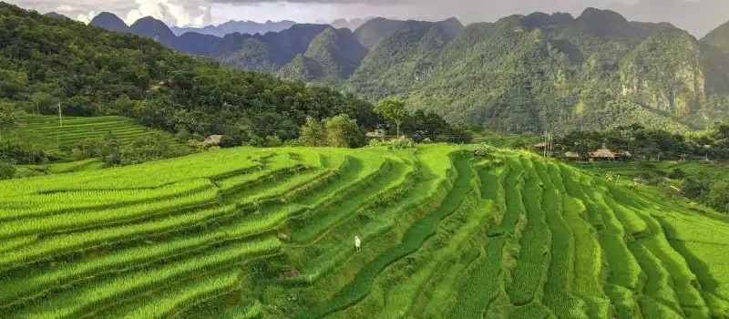 R&eacute;serve naturelle Pu Luong Vietnam