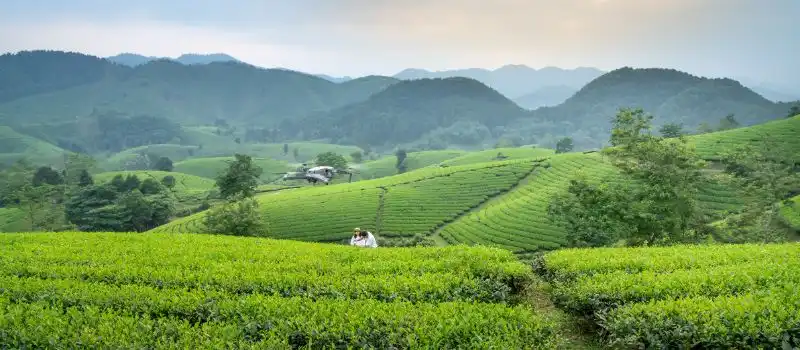 R&eacute;server un voyage au Vietnam avec agence locale