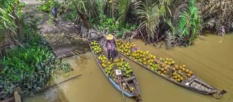 Respecter la culture locale