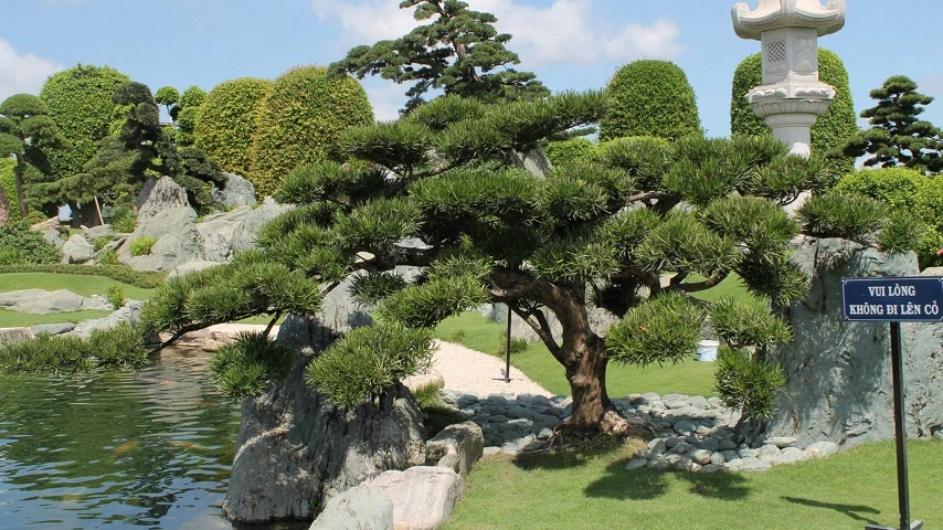 Visite H&ocirc; Chi Minh-Ville