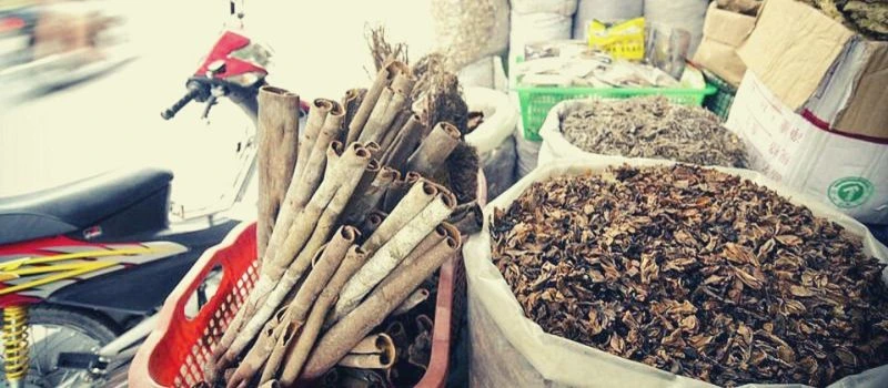 rue-thuoc-bac-vieux-quartier