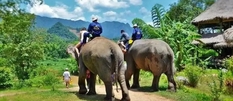 Sanctuaire du village des &eacute;l&eacute;phants