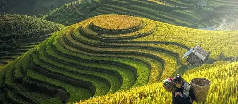 Sapa au nord-ouest du Vietnam