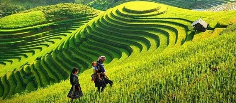 Sapa - Entre rizi&egrave;res en terrasse et minorit&eacute;s ethniques