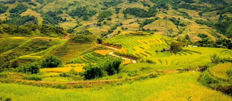 Sapa: Immersion naturelle et culturelle authentique