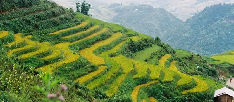 Sapa - passez votre voyage au Vietnam en famille dans la ville brumeuse