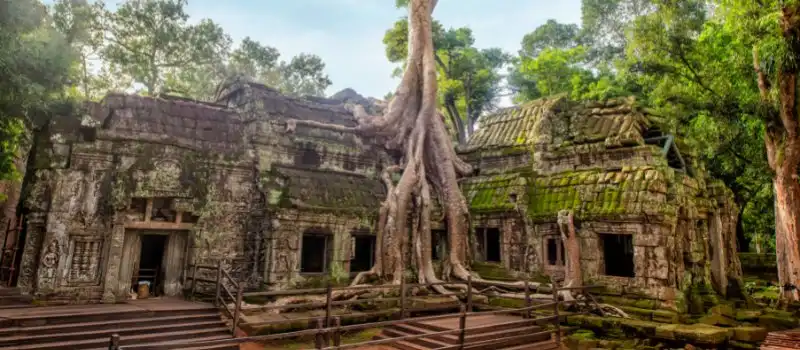 Temple de Ta Prohm Cambodge