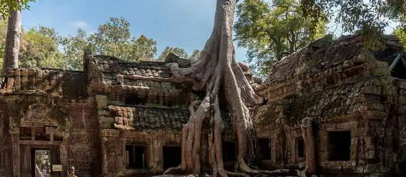 Temple de Ta Prohm