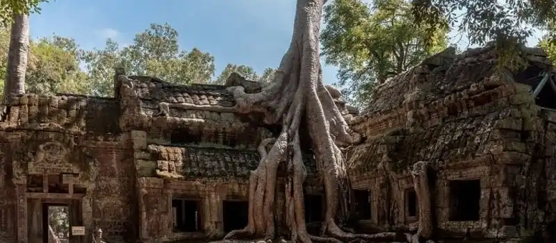 Temple de Ta Prohm