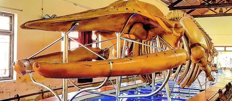 Temple de Van Thuy Tu