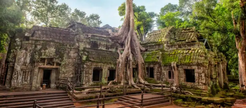 Temple Ta Prohm Cambodge