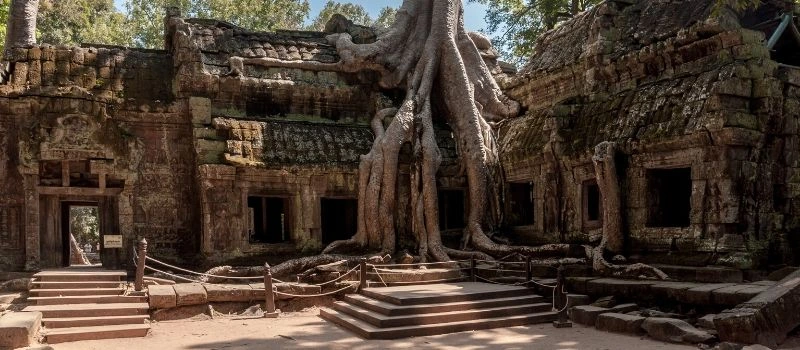 temple-ta-prohm