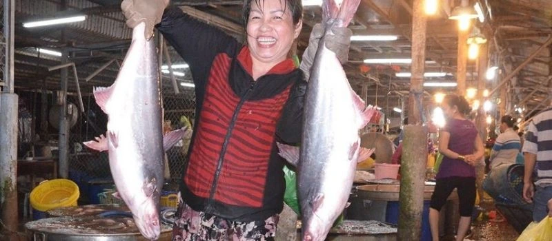 March&eacute; aux poissons de Giao Hai