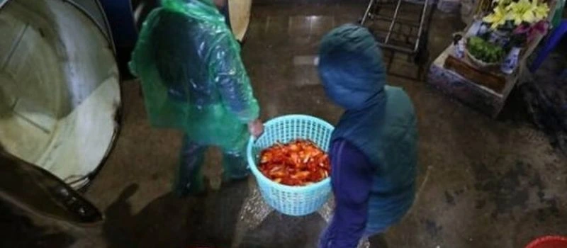 Visite march&eacute; aux poissons de Giao Hai