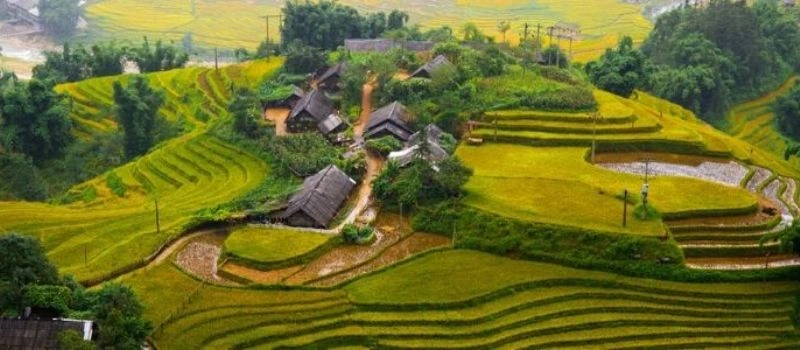 visite-riziere-en-terasse-a-sapa