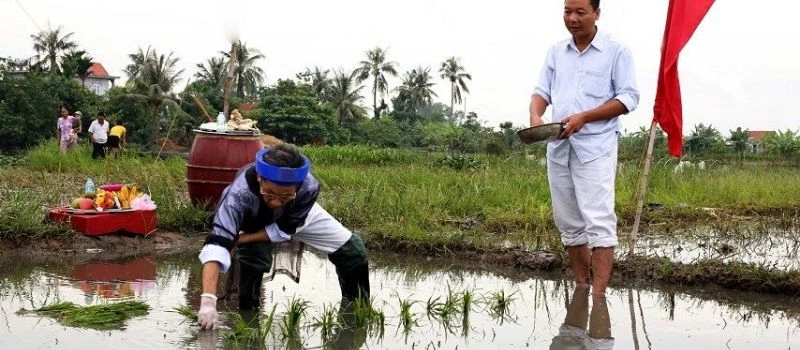 La F&ecirc;te de descente aux champs