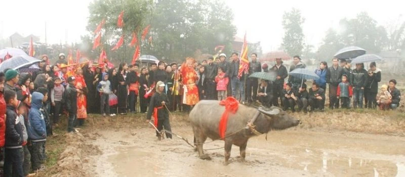 F&ecirc;te de descente aux champs &agrave; Quang Ninh