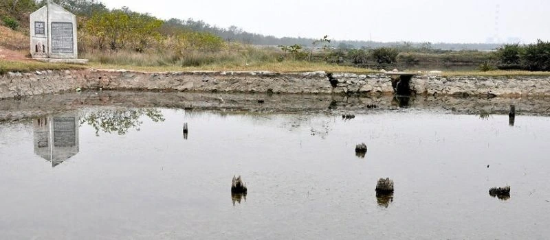 Le champ de pieux de Bach Dang