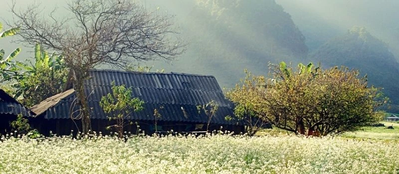 Haut plateau de Moc Chau