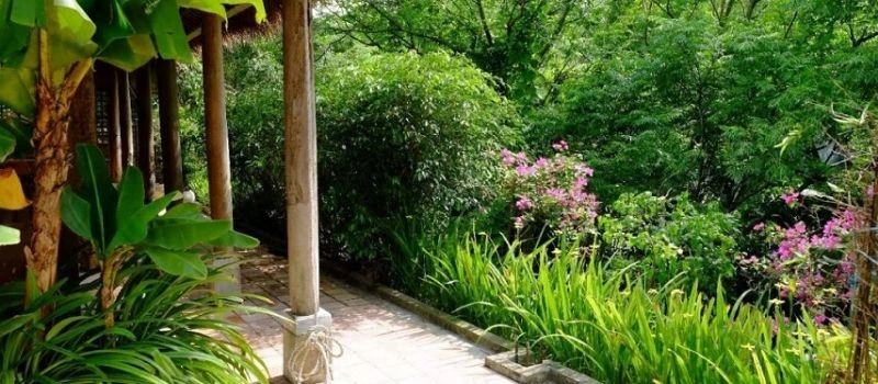 Le village-jardin de Bach Thuan