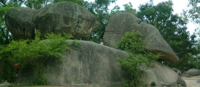 Le rocher du coq et de la poule (Hon Trong Mai)