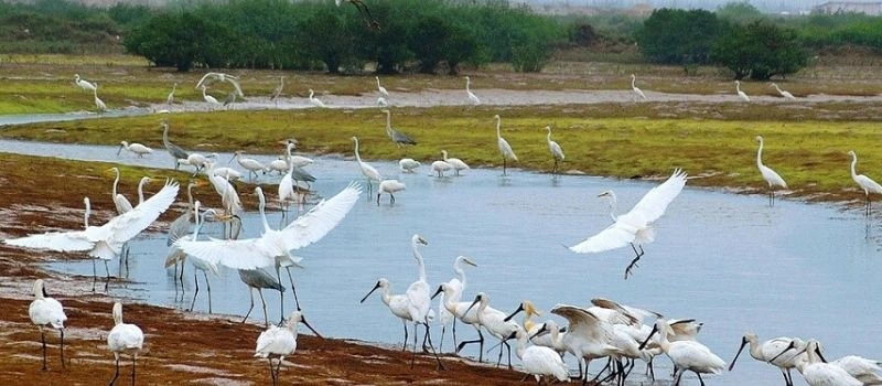 Parc national Xu&acirc;n Thuy