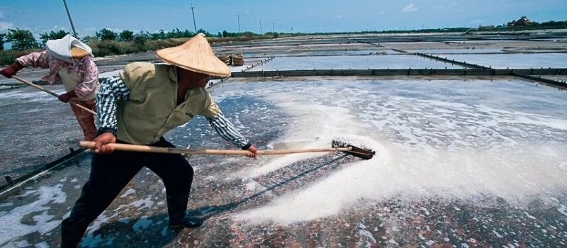 Le marais salant Bach Long